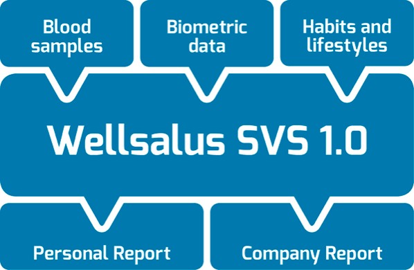 Wellsalus SVS 1.0 Workflow